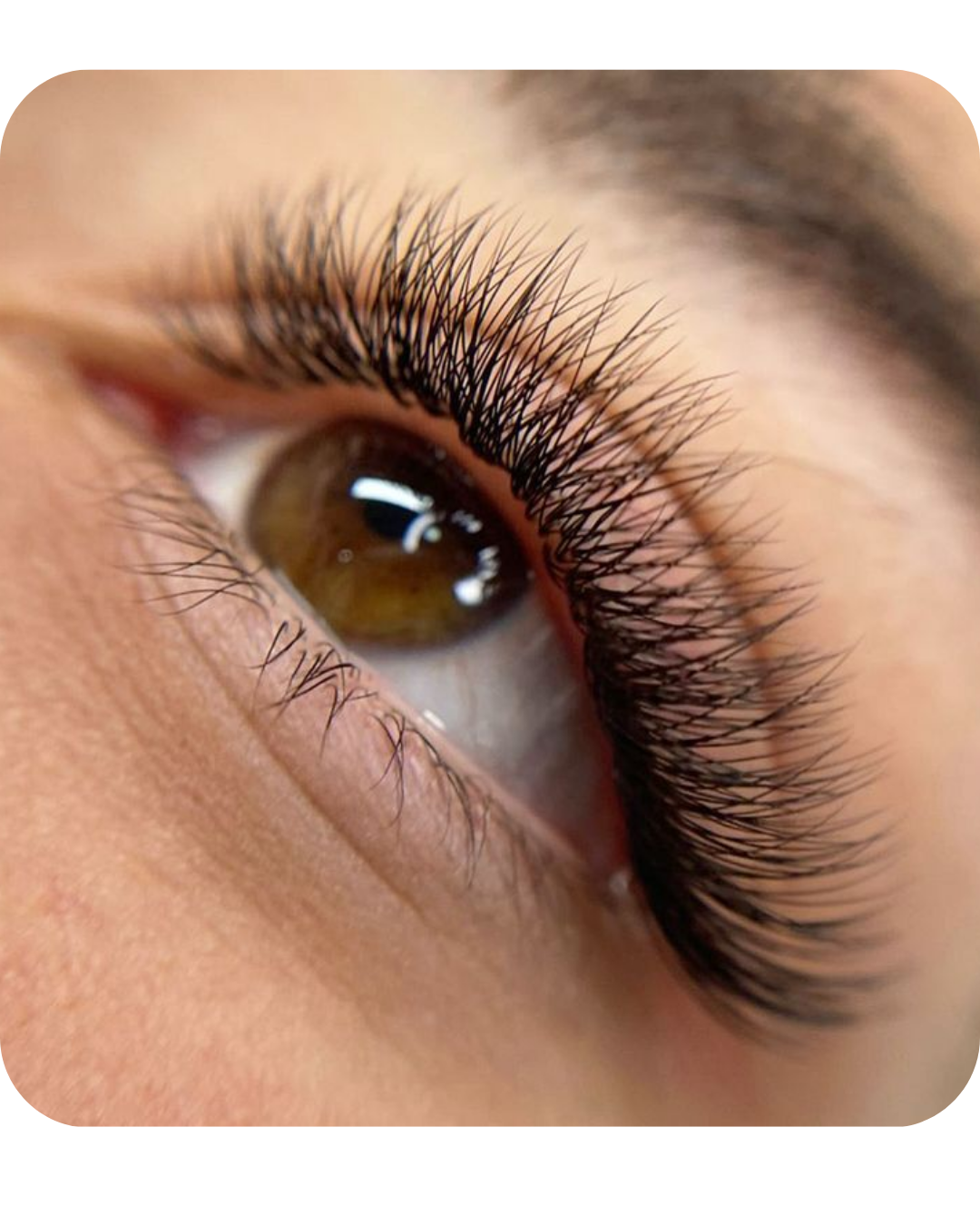 Guía Master Extensión de Pestañas+7 Bonos lash de Regalo+Certificado.