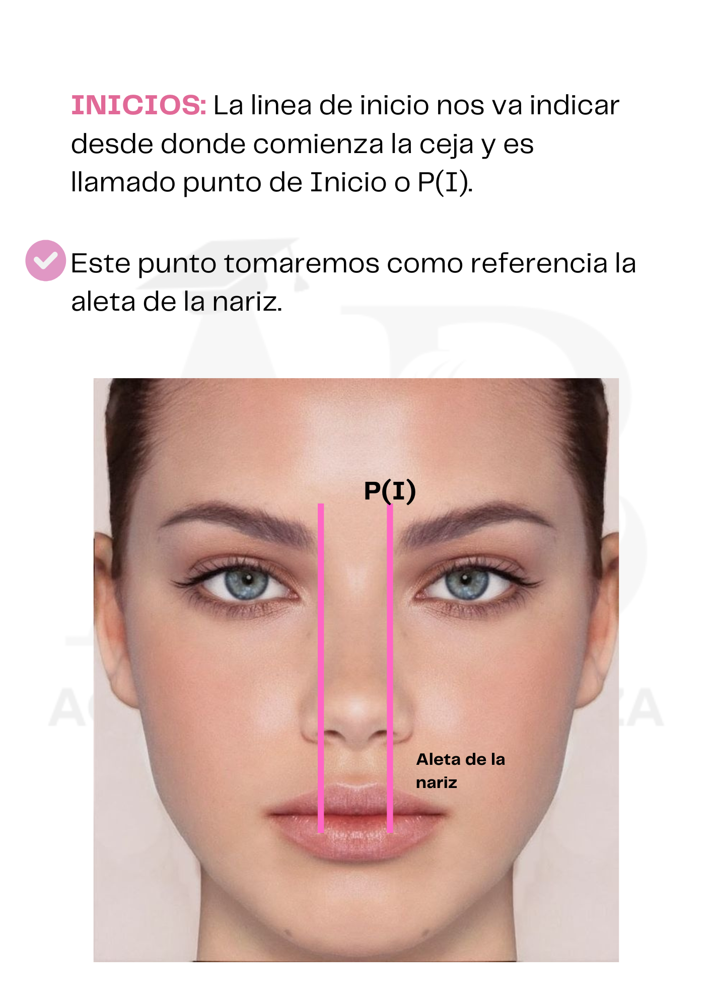 Guía de Cejas Perfectas, certificado