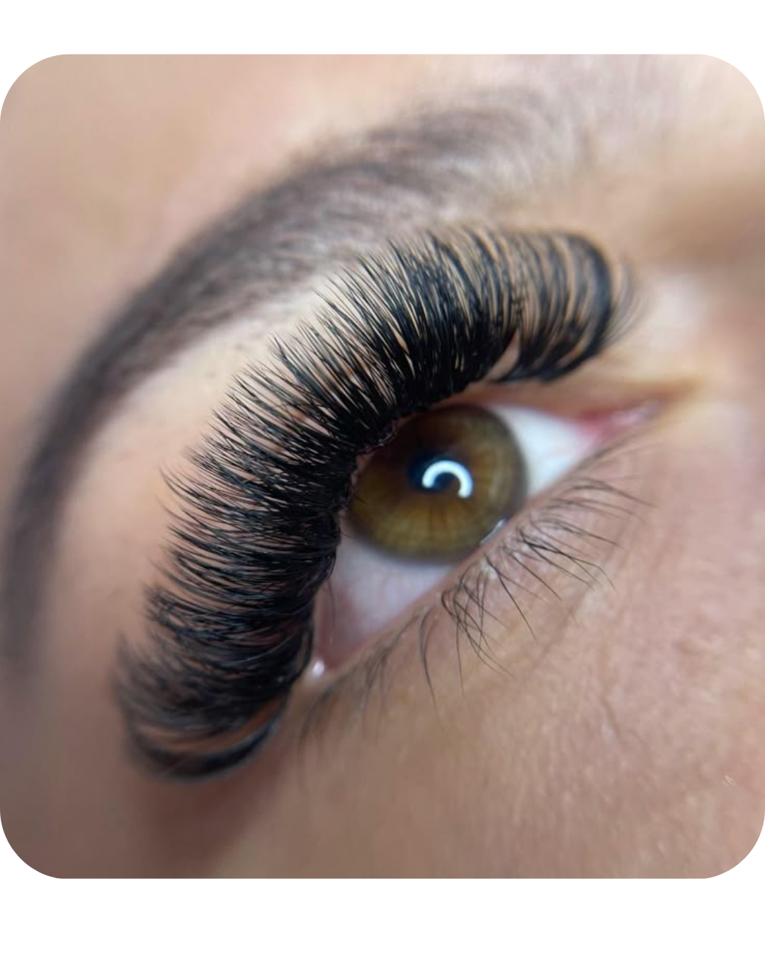 Curso Online Cejas y Pestañas (en video + PDF) + Certificado Internacional