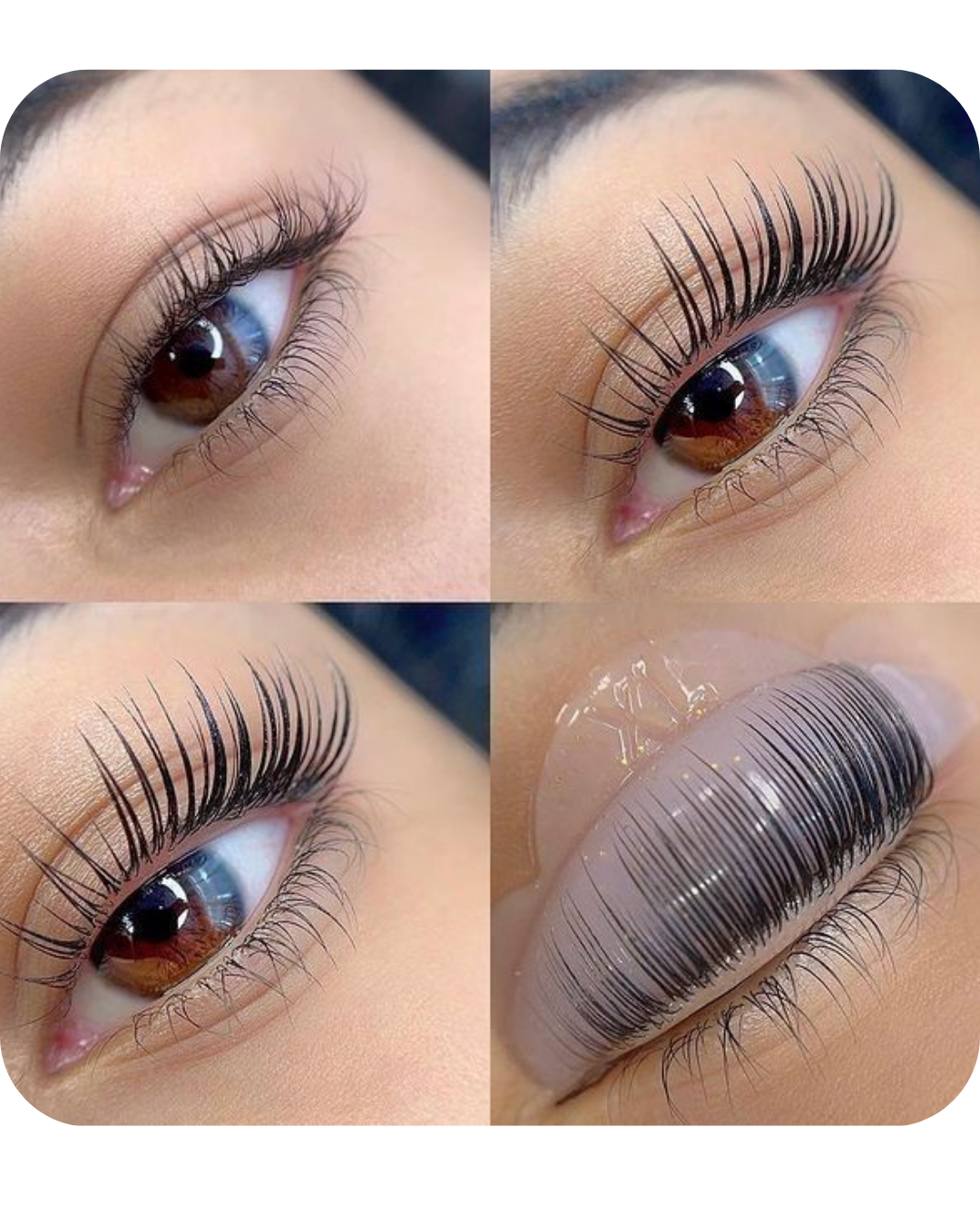 Curso Online Cejas y Pestañas (en video + PDF) + Certificado Internacional