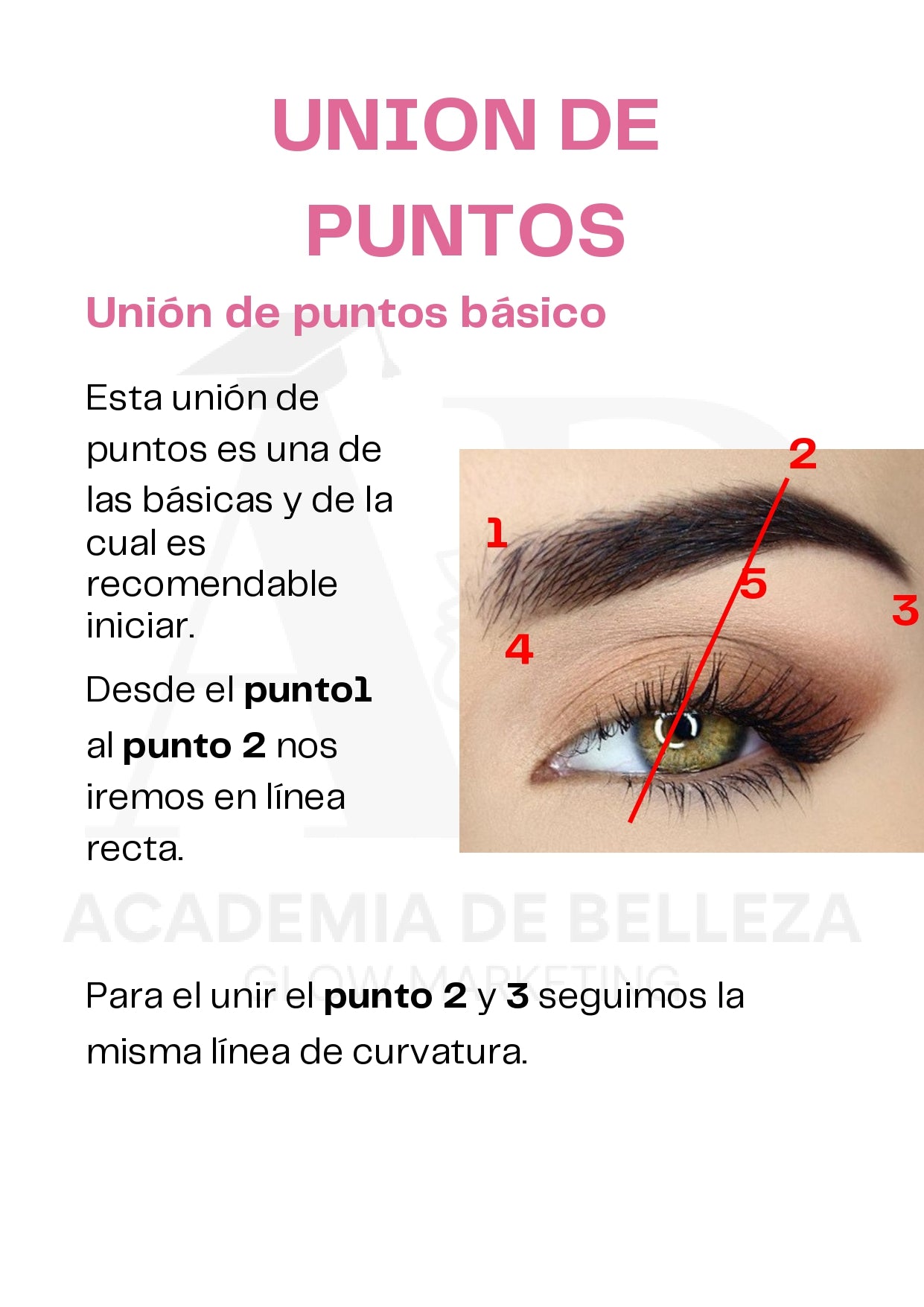 Guía de Cejas Perfectas, certificado