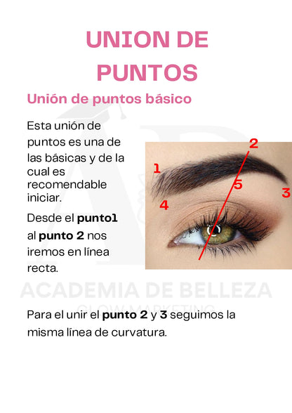 Guía de Cejas Perfectas, certificado